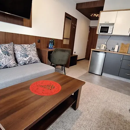 Apartament U Kośle 2